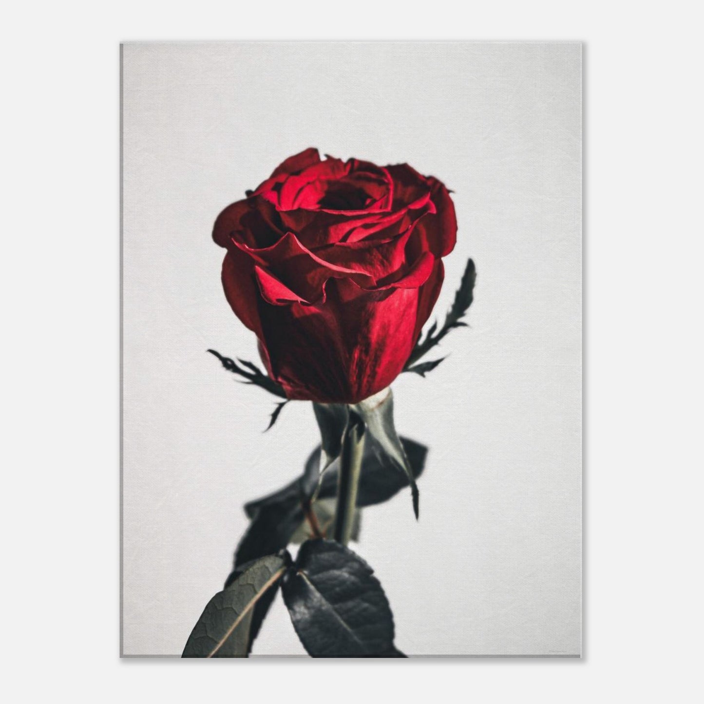 1e5fb05f-dd24-4456-875f-a5c6980645b8