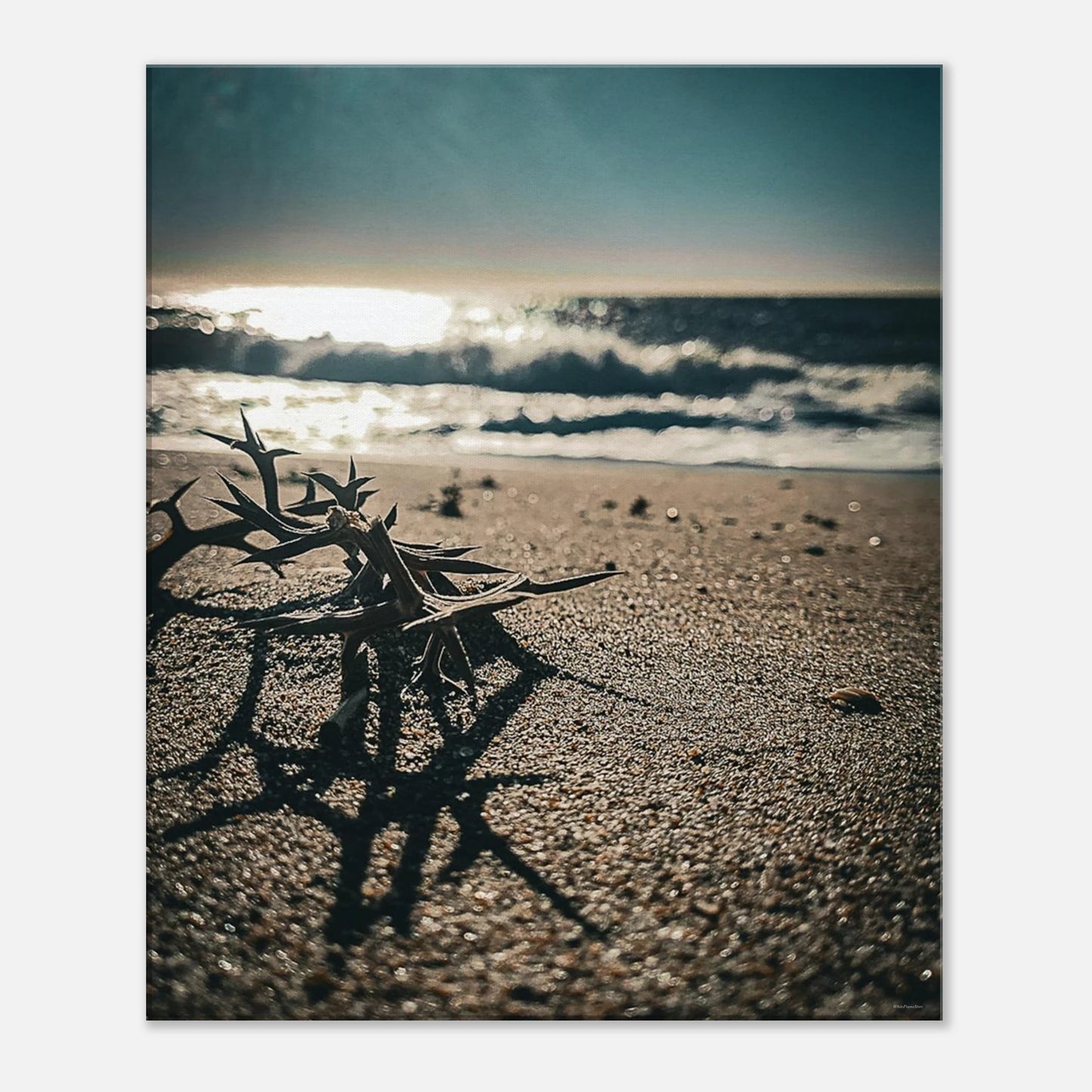 1e7931db-96d1-4cff-960c-1a32728c2436