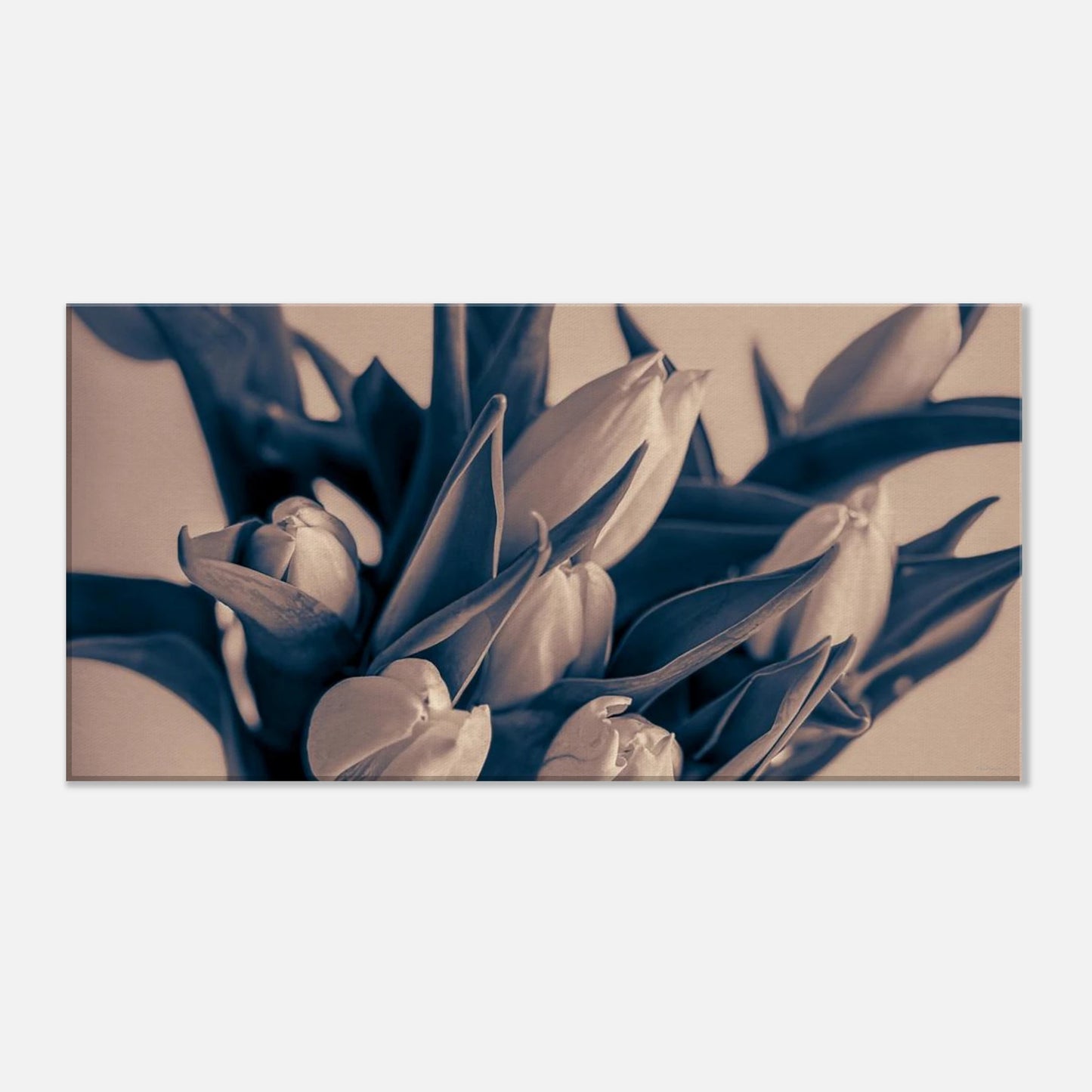 1e95086f-e0f2-441f-b617-49e355fc63e0