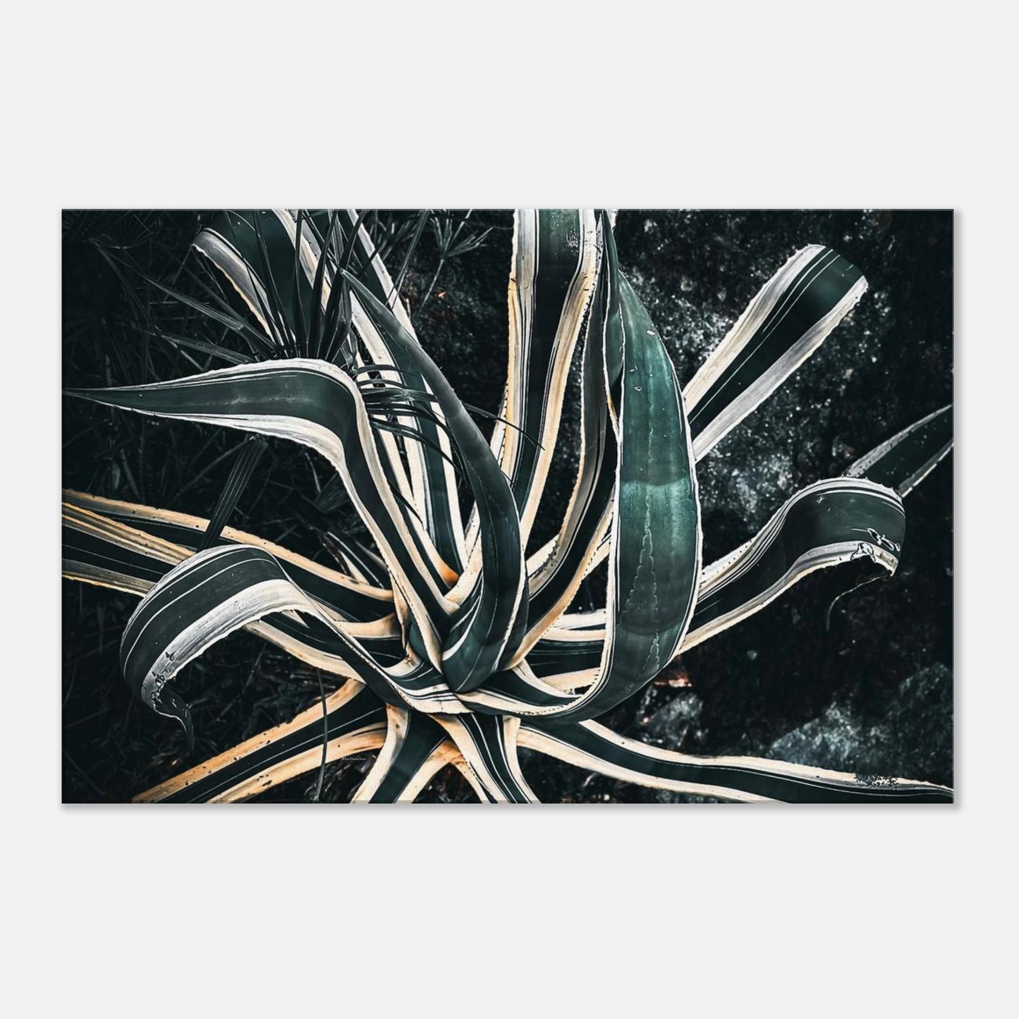 1ea184d5-f142-4982-a2cd-975f94e6d703