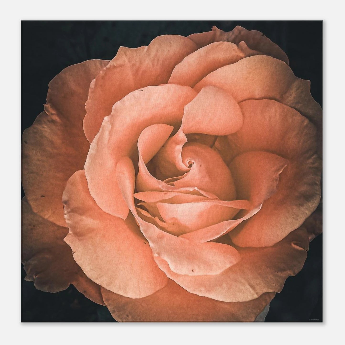 1ec9fbd0-e9f3-45c9-abcb-daeb159cdf07