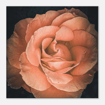 1ec9fbd0-e9f3-45c9-abcb-daeb159cdf07