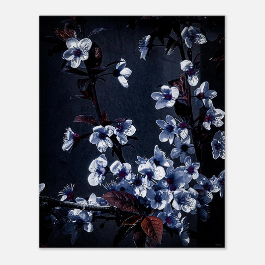 1f27054e-8fcb-4187-b866-917a160a27e5