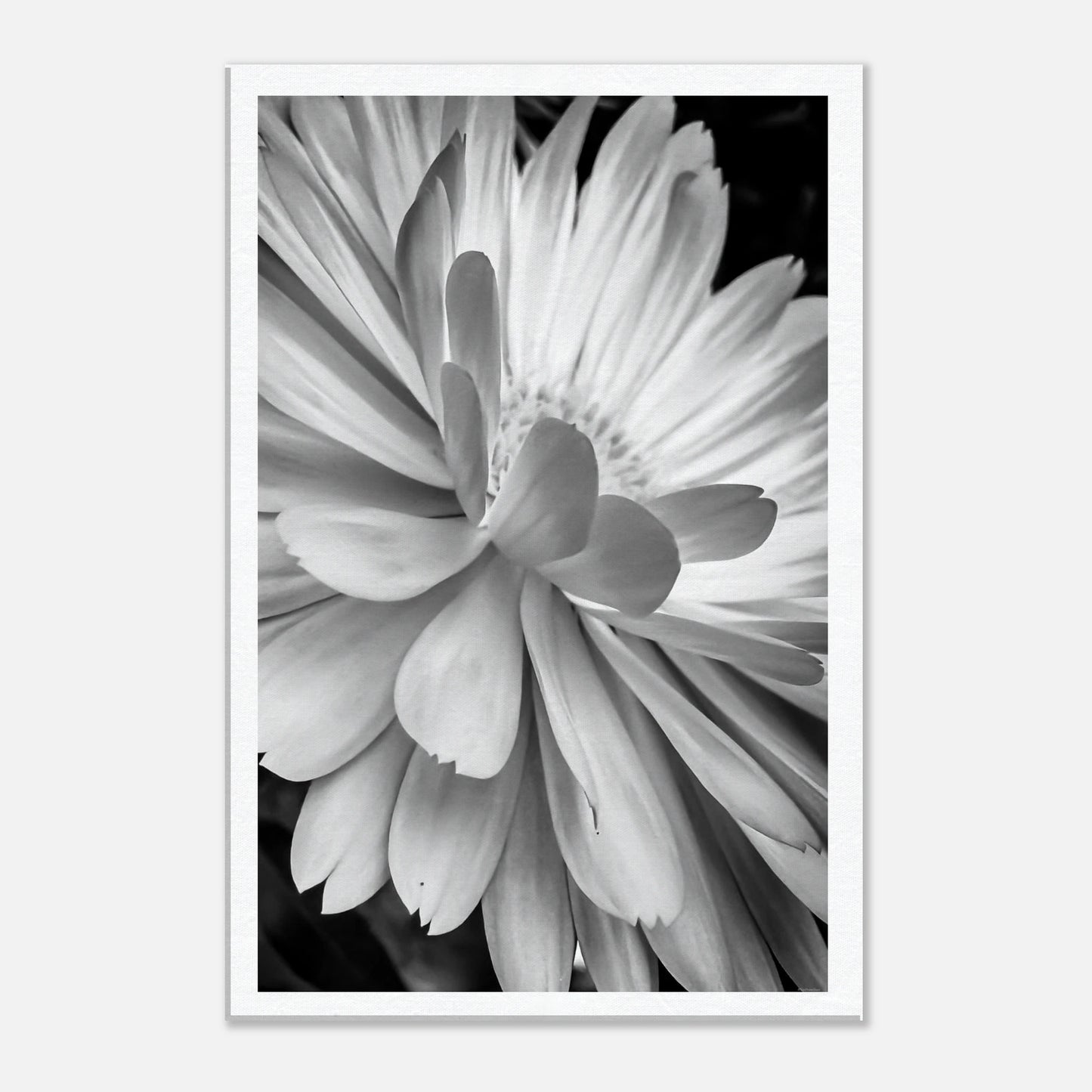 1f33b1f2-b60a-4ef2-8194-5aef2428b3ab