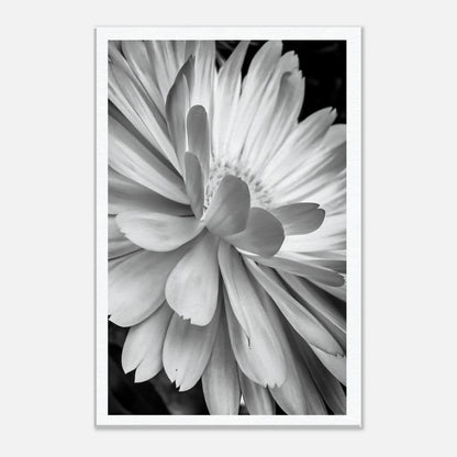 1f33b1f2-b60a-4ef2-8194-5aef2428b3ab