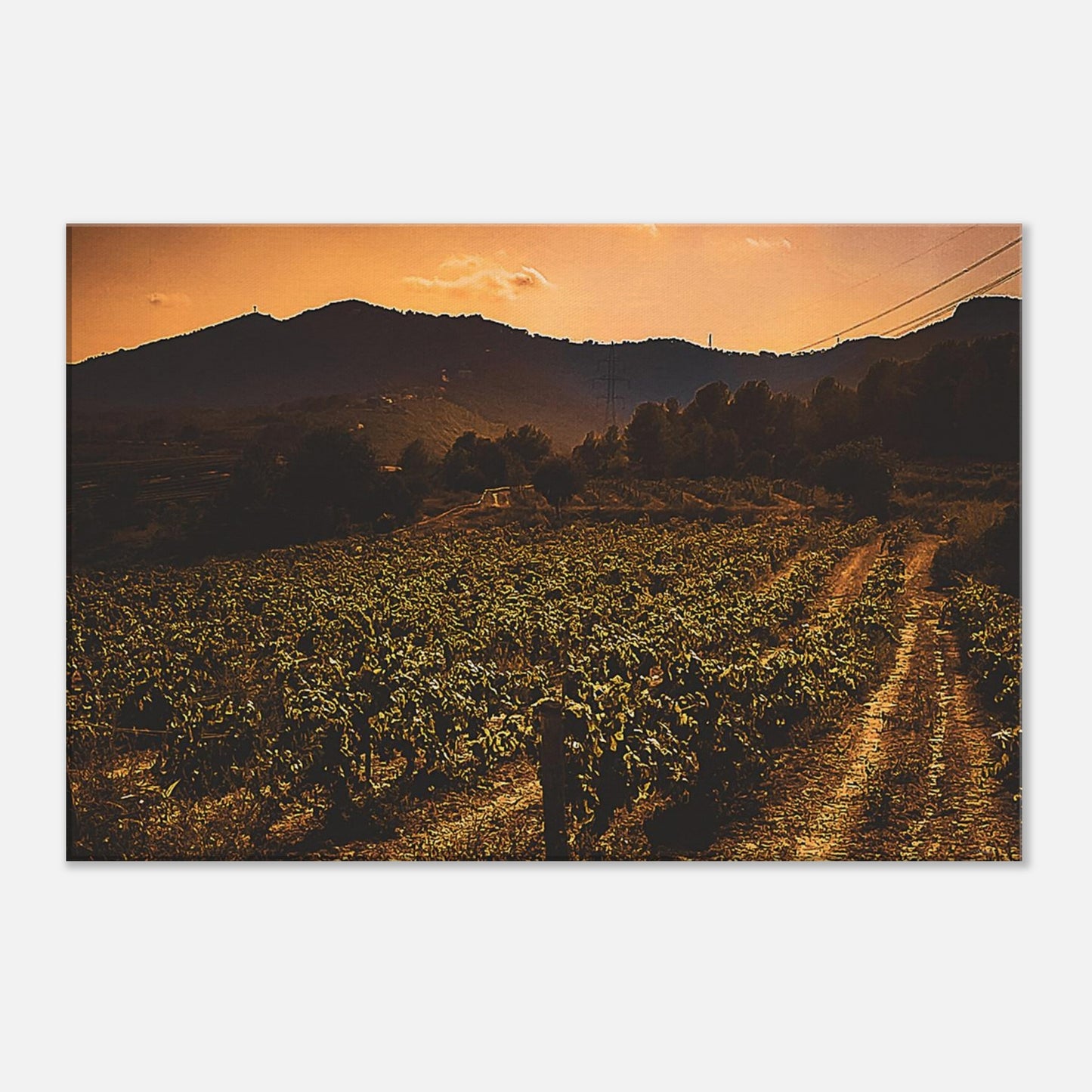 1f4f422e-cb73-42d5-b0a2-c36b6ed5acc7