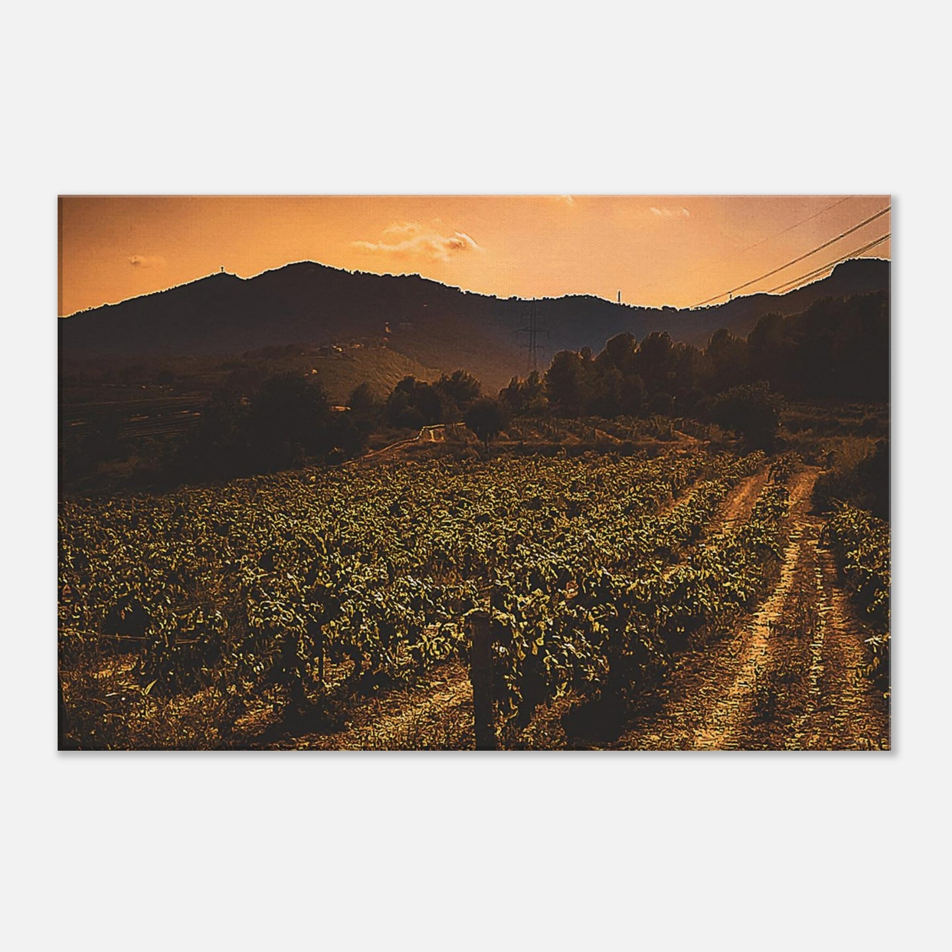 1f4f422e-cb73-42d5-b0a2-c36b6ed5acc7