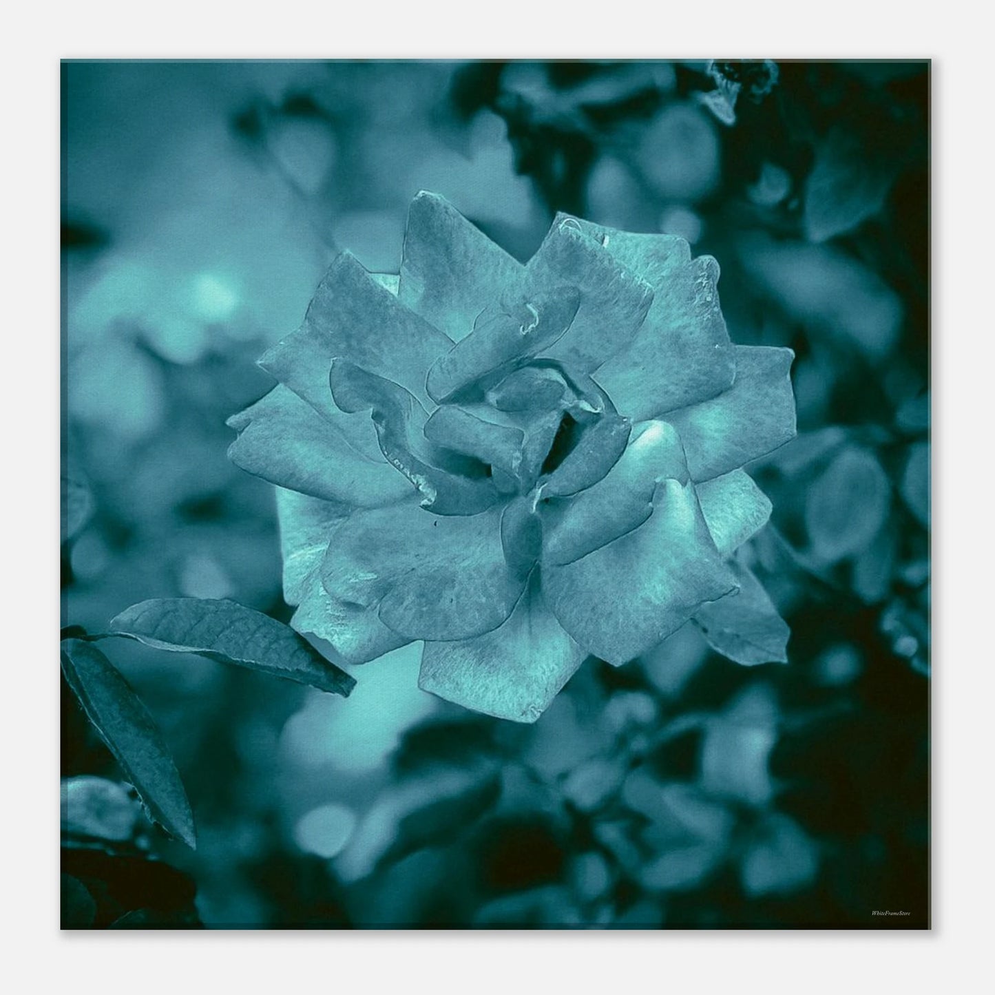 1f8ad71c-6d13-4f4a-8299-2e8276c1f1d4