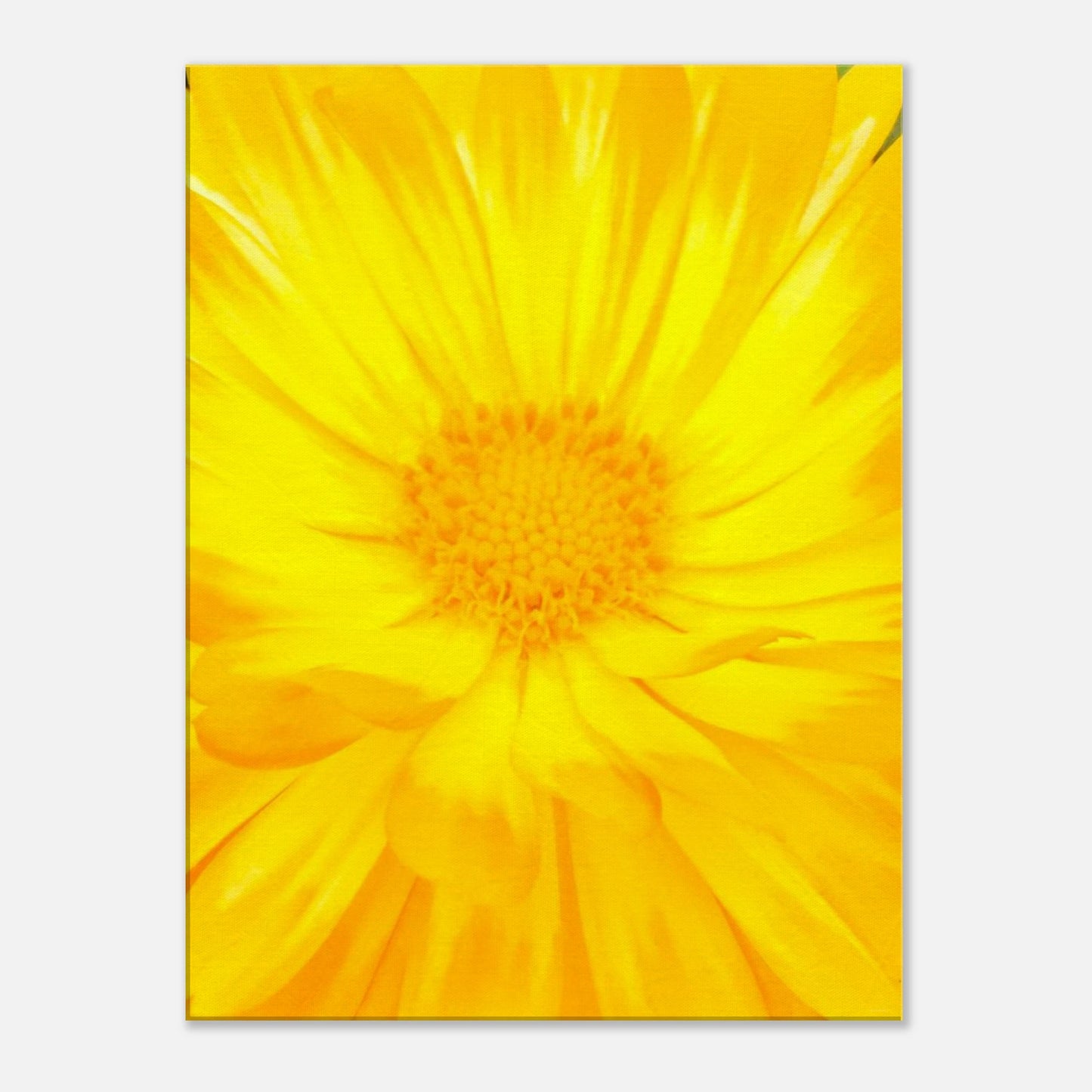 1fd33061-f625-40a7-ab86-3fe514552ac0