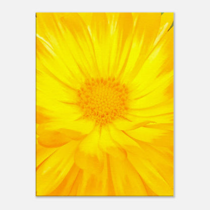 1fd33061-f625-40a7-ab86-3fe514552ac0