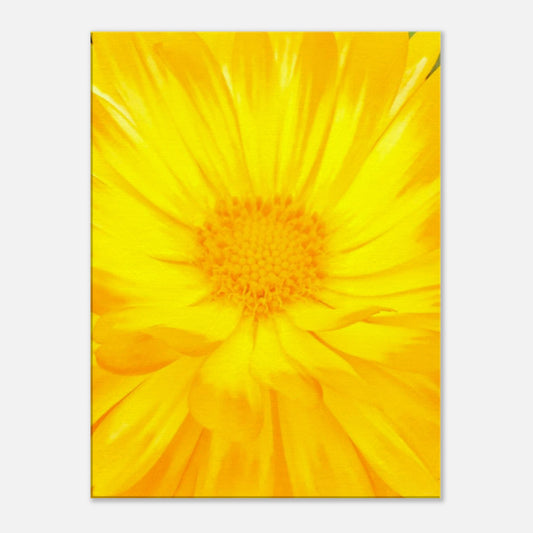 1fd33061-f625-40a7-ab86-3fe514552ac0