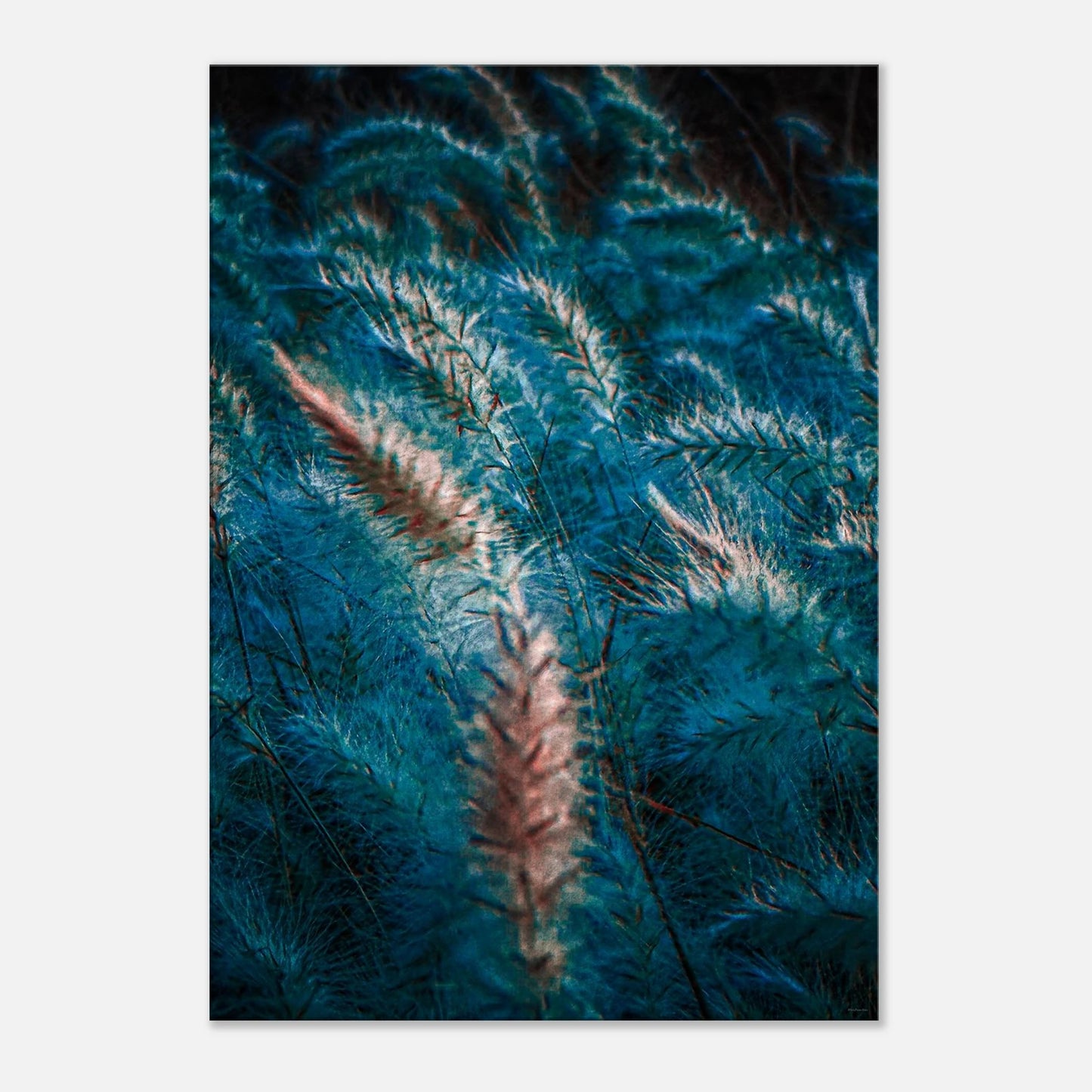 1ffeefd3-93c2-4a90-864b-00d4d98a1ee6