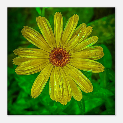 20131f34-470f-490d-93dc-872933015210