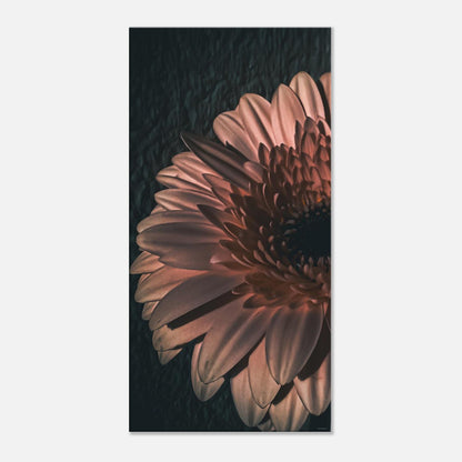 201e46fa-a387-45d5-bb3b-a926daa59fa2