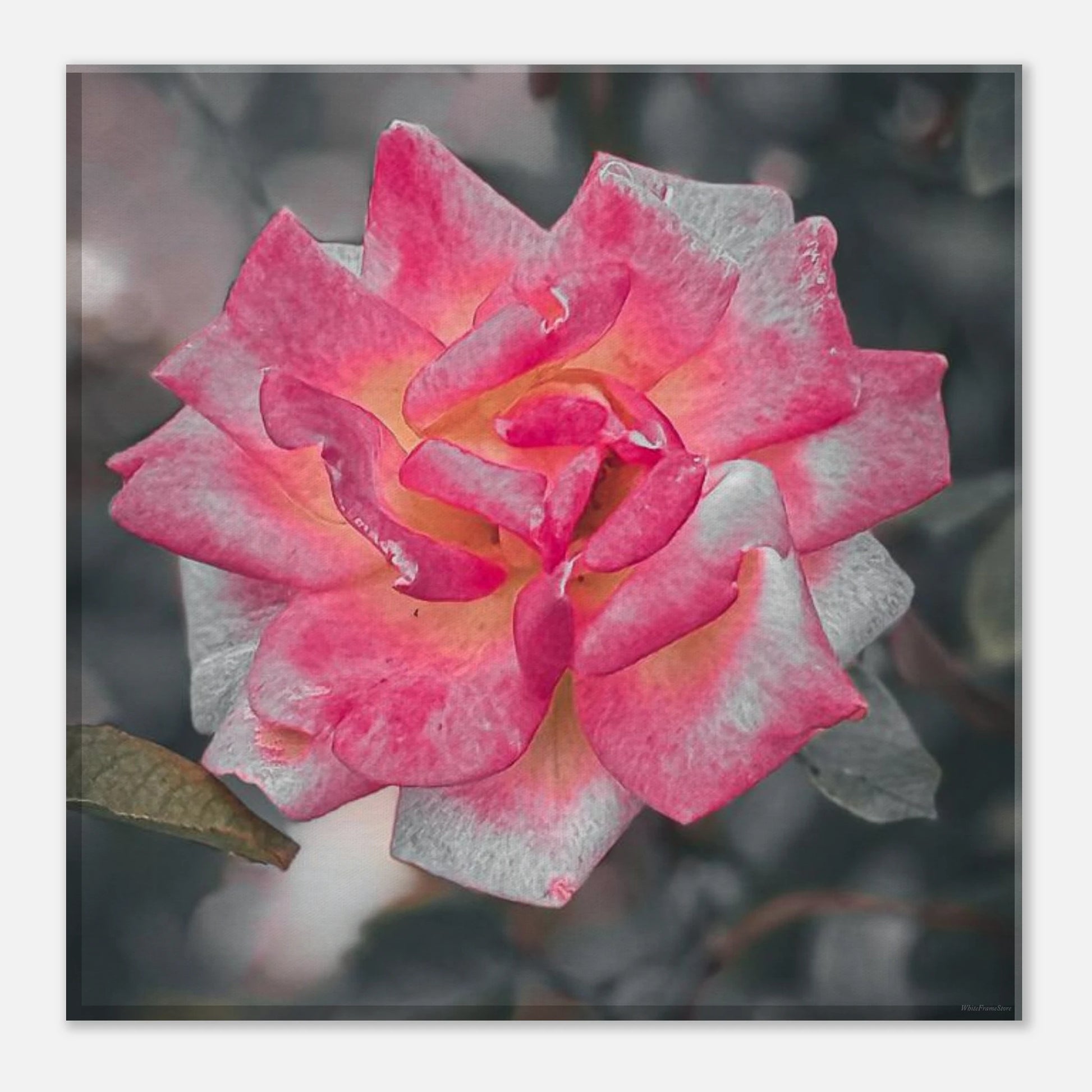 202e01df-3683-4d29-ae5c-4da5bd2e839b