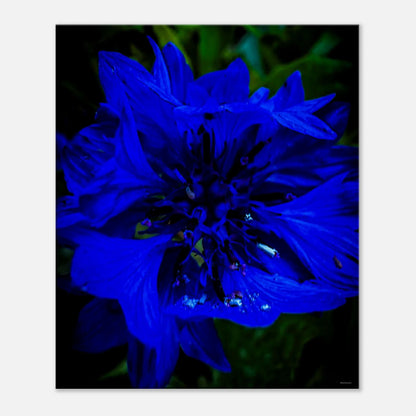 2040c240-83c2-447c-b741-d50ad37592f7