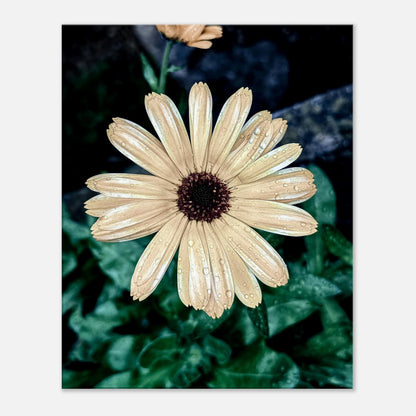 2043c028-45a9-4fc7-8a58-cb2e804cf21a