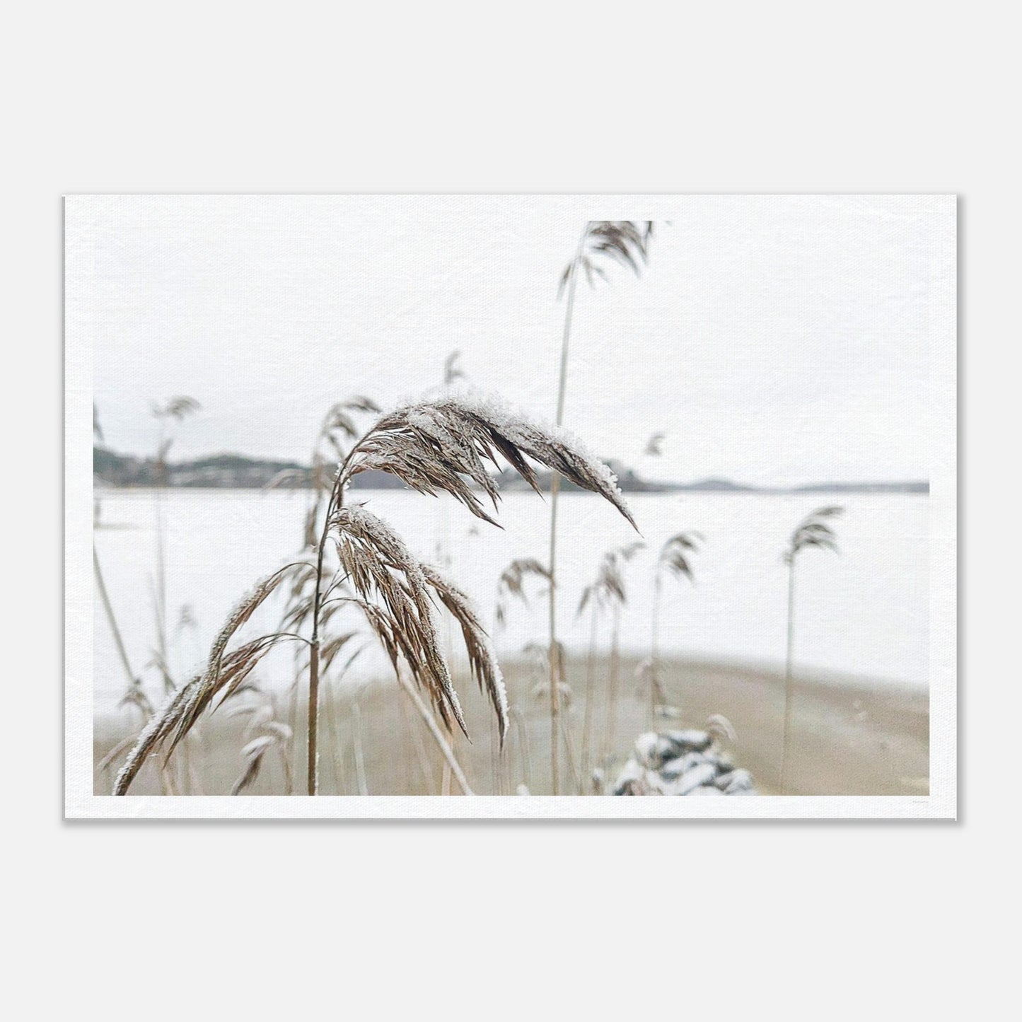 205b76ab-55c6-4053-87d9-2deb129e5800