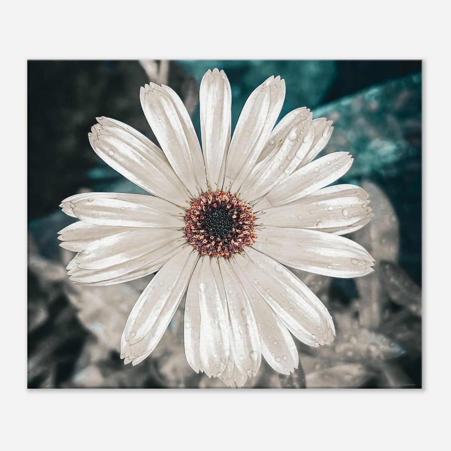 20728f32-b567-4b60-9270-8f228ac3d931