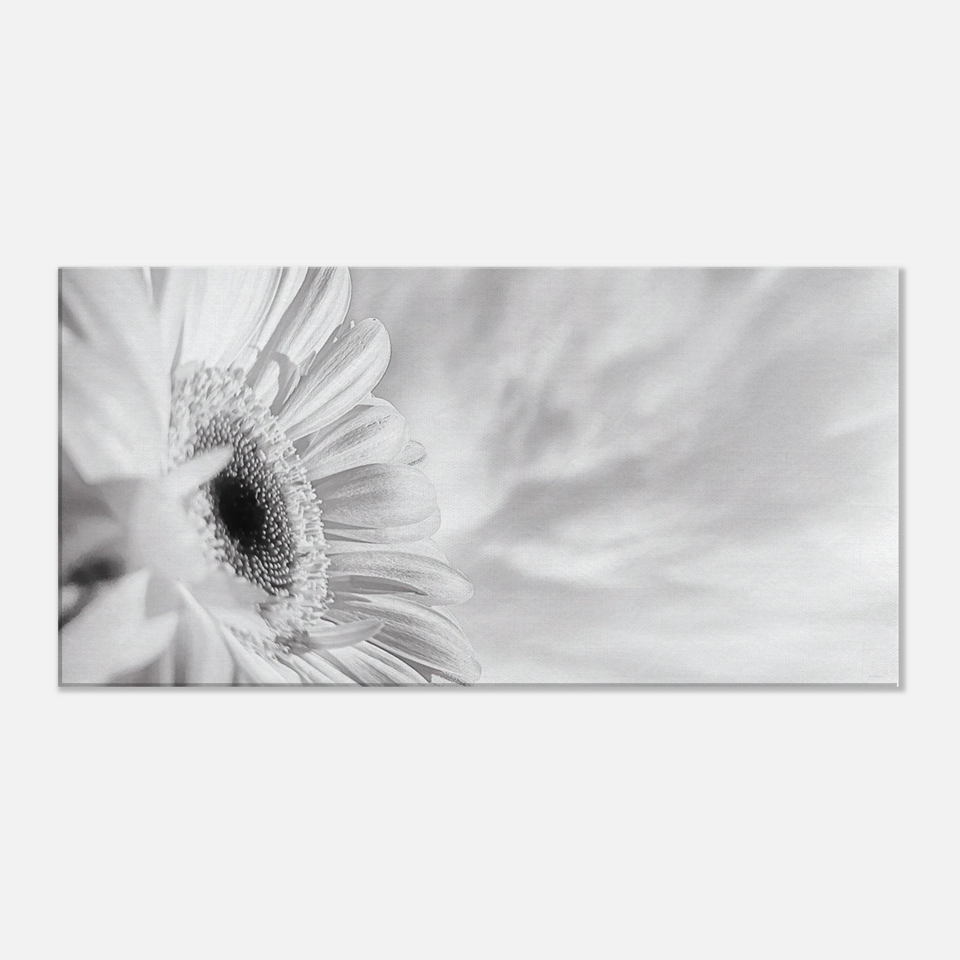 209a5411-5faf-4d95-a294-1ab514eb6184