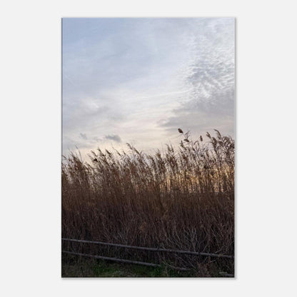 20a977c6-78b0-4094-b3fa-410e273ec1c2