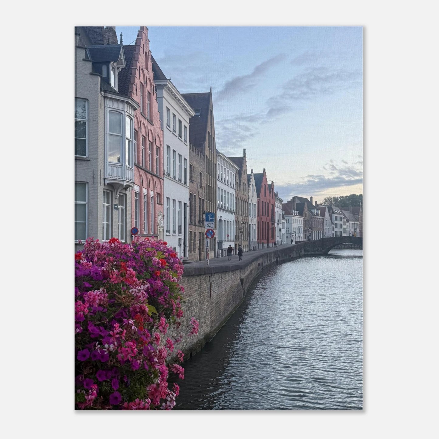 20b4a636-5874-46e8-b0da-5d15d56905d1