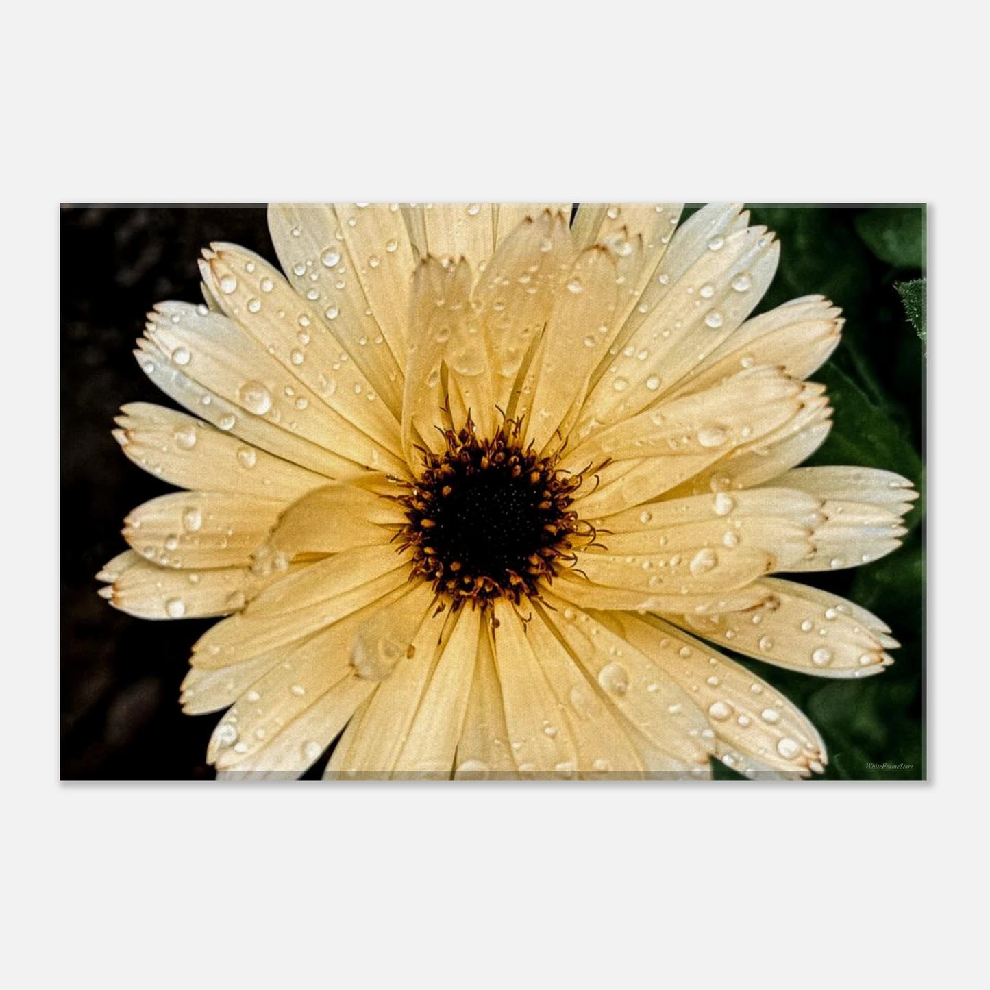 20d2ad43-a08c-4222-b9b4-c1dd50cda3be