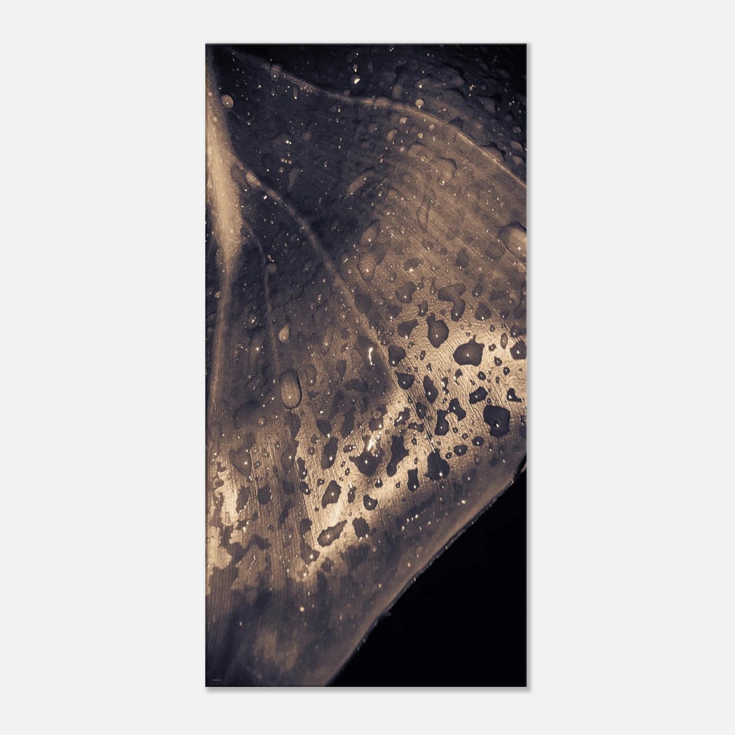 20e745b6-799d-4ab8-9cf2-c672883177dc