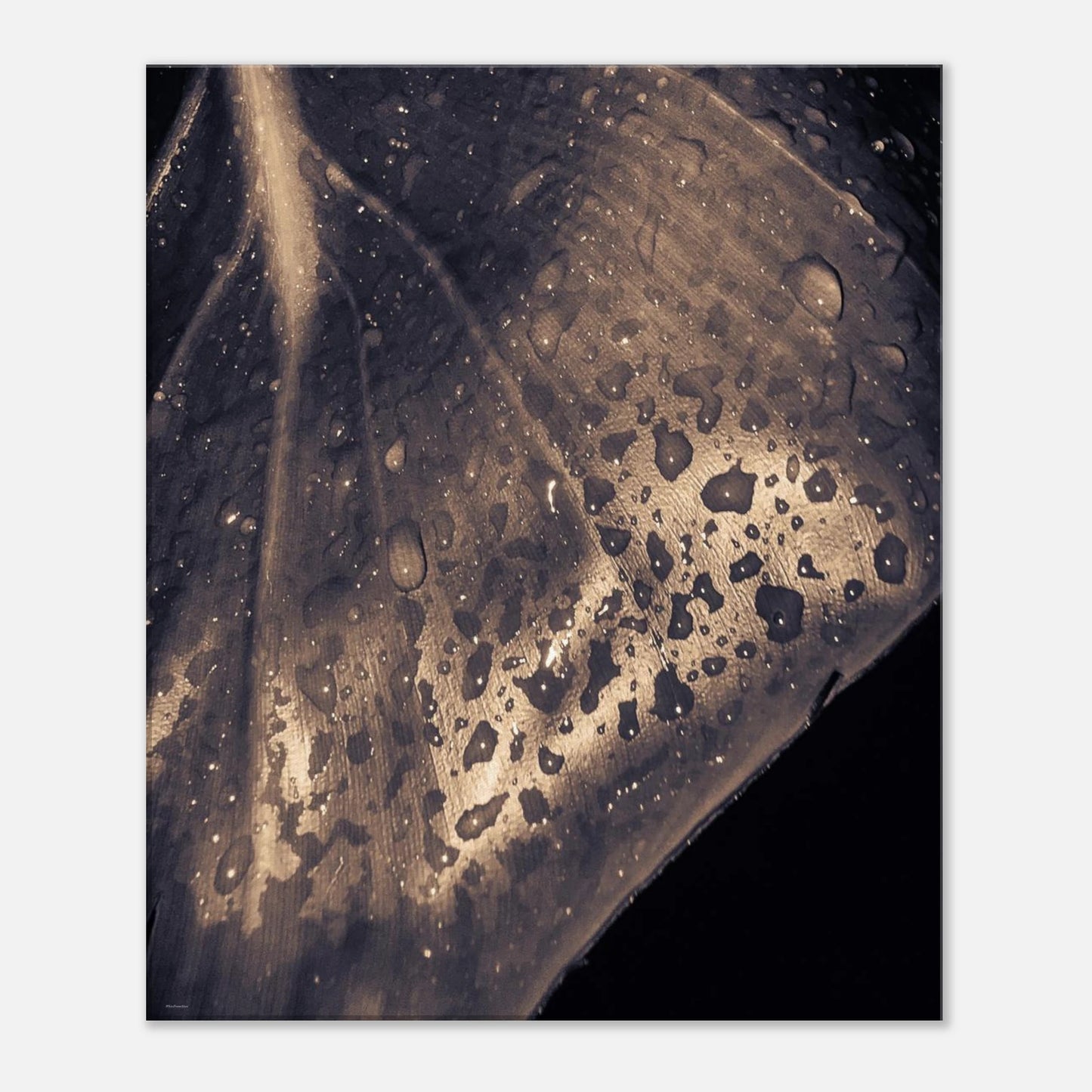 210c4d98-59d1-4458-94c2-1b5d5847df03