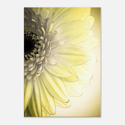 211fcdc4-9eed-4d4b-87d6-b1eb593c7da6