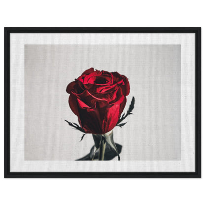 21208978-ca9d-415b-9da8-10146c264625