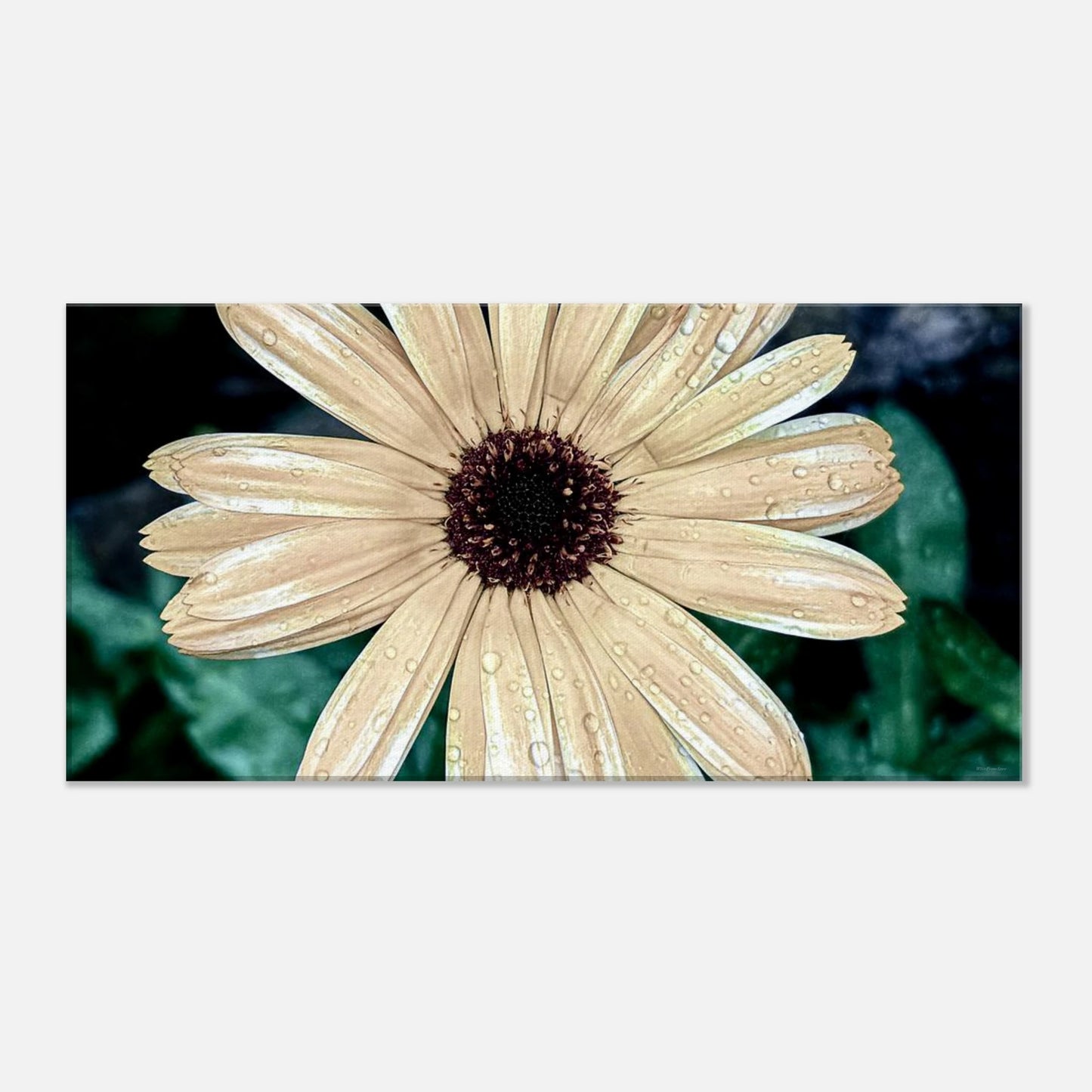 21233d26-1402-444f-a8cc-63a444b1834e