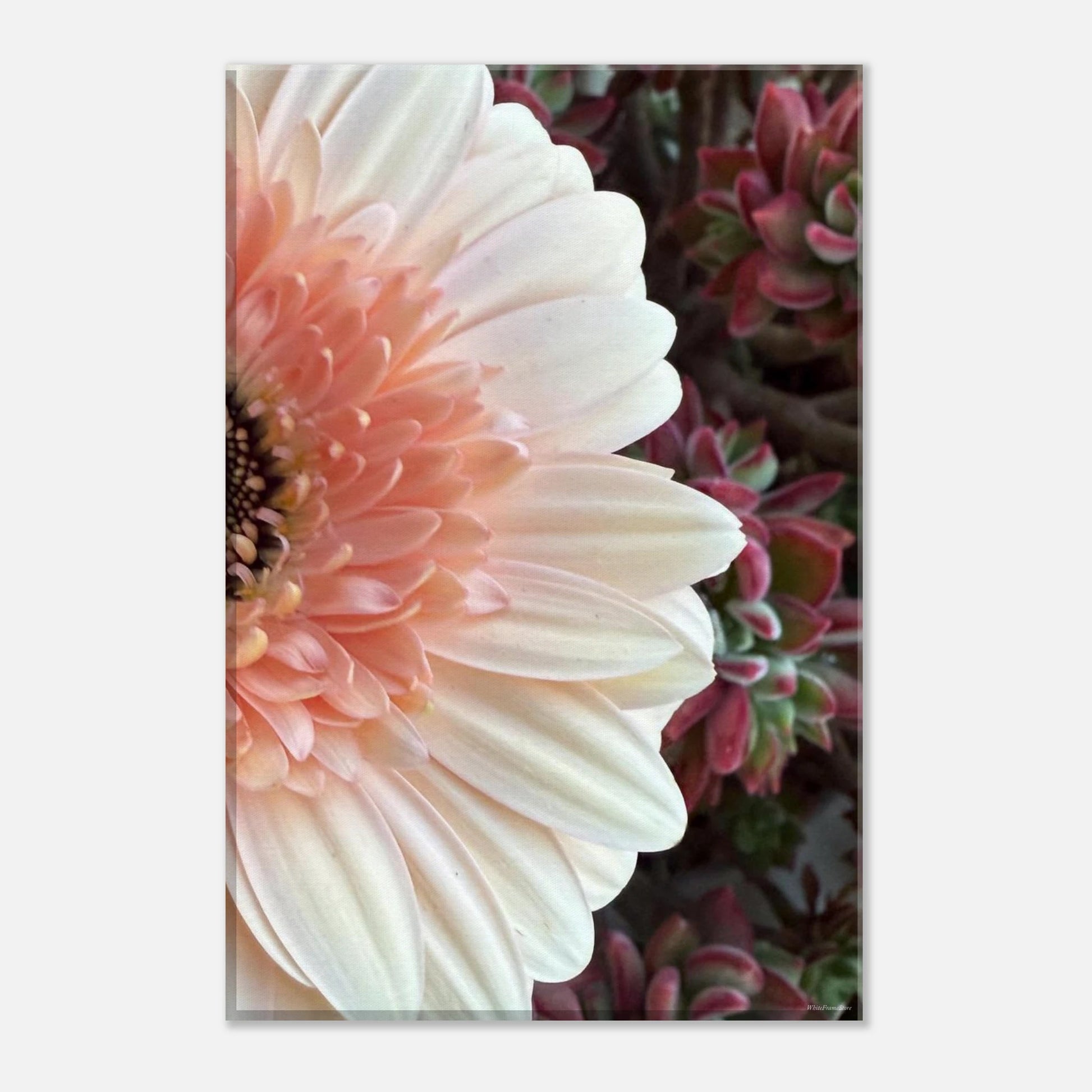 217da9bd-3e37-4039-88a0-00f8a2296ebe