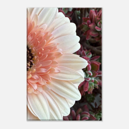 217da9bd-3e37-4039-88a0-00f8a2296ebe