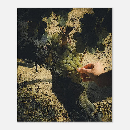 2181571b-3936-415f-9483-7907d4309ec7