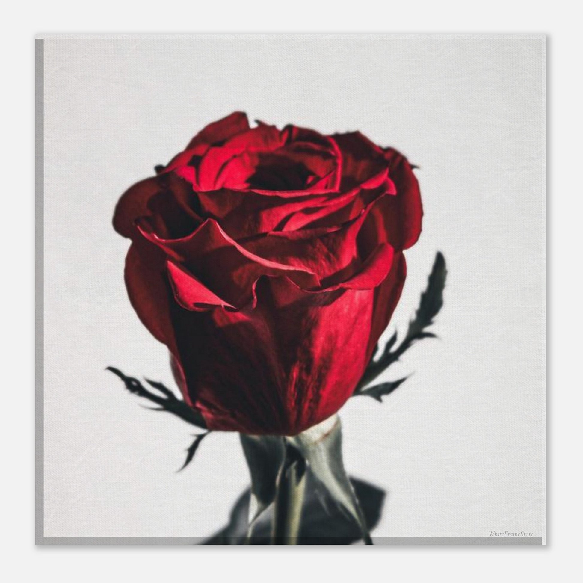 218e656d-5e11-4e79-a9bd-09e392eb22b6