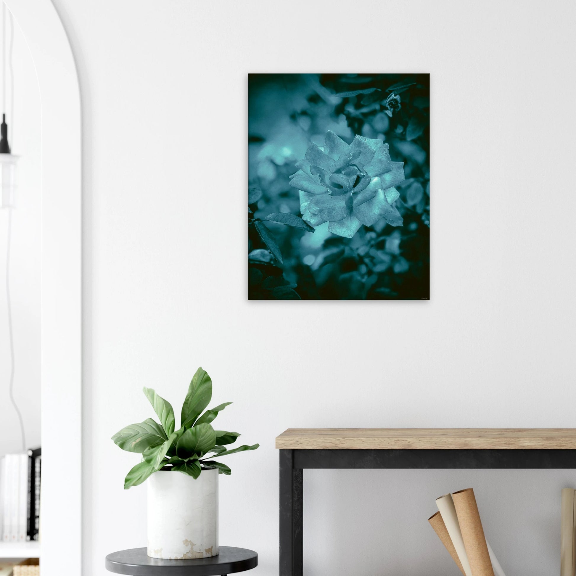 219d41ce-c6ec-44b8-aa50-1eba712f7e31