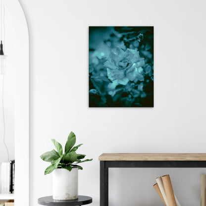 219d41ce-c6ec-44b8-aa50-1eba712f7e31