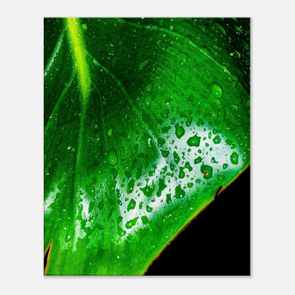 21dd5c8a-bcc7-41ab-b221-0dc61e5e4d1a