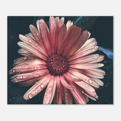 21eb4f6c-6770-4bf1-8d46-9a4cfb26a035