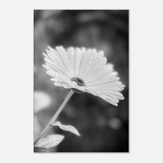 2231050e-86ed-41e0-bfca-737191be6097