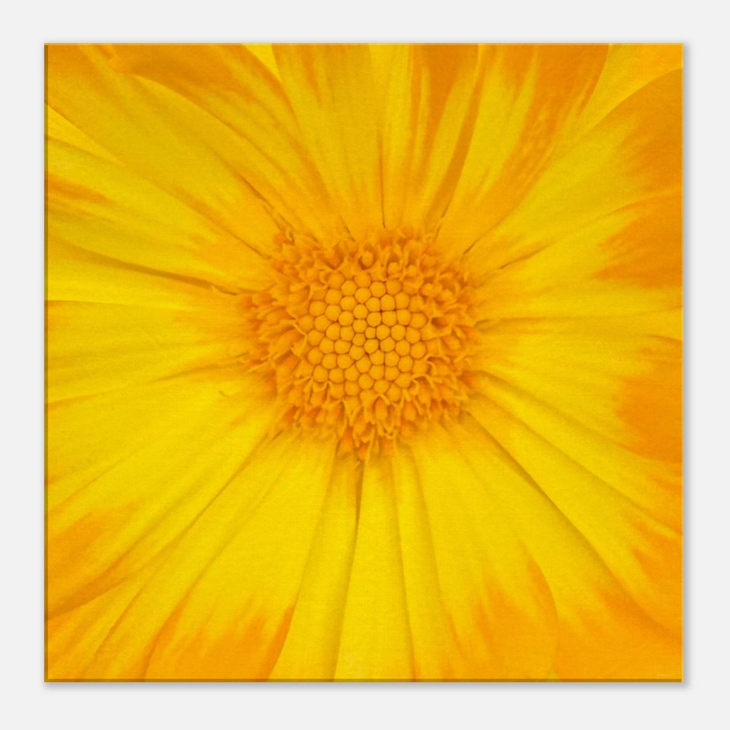 2251329c-0d1b-461c-8705-c014af57741f