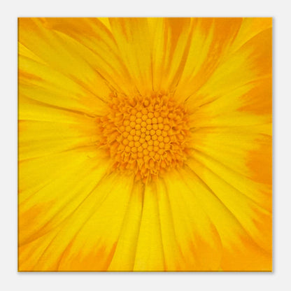 2251329c-0d1b-461c-8705-c014af57741f