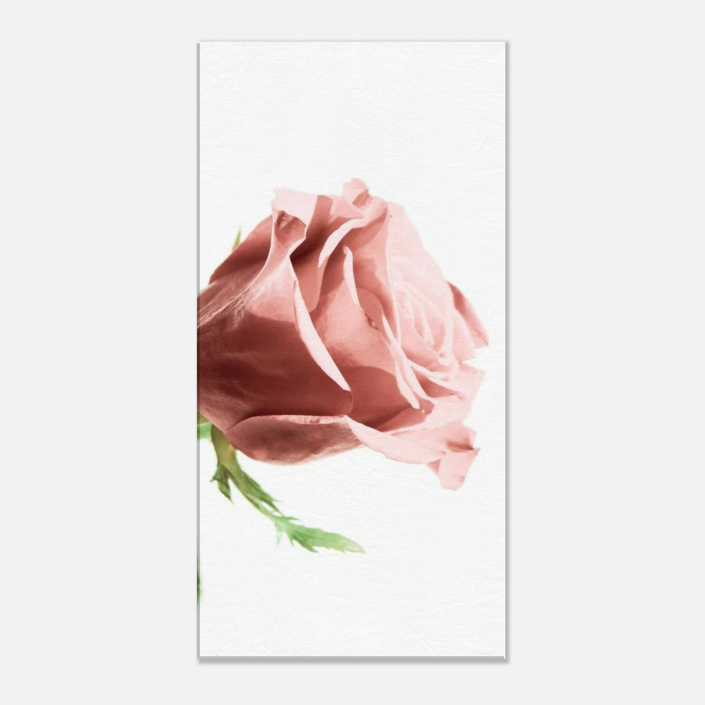 225cf869-1d9d-48cf-a738-4d3a4054c452