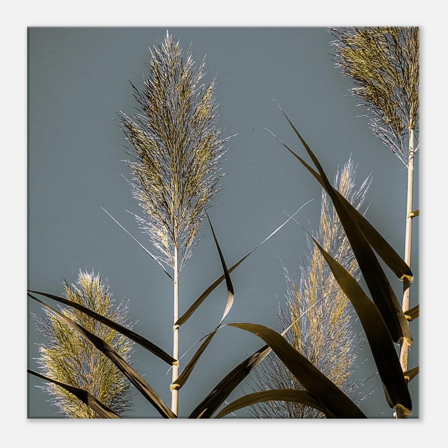 225d11f0-95f7-4abb-81f8-98ac6d1fbe31