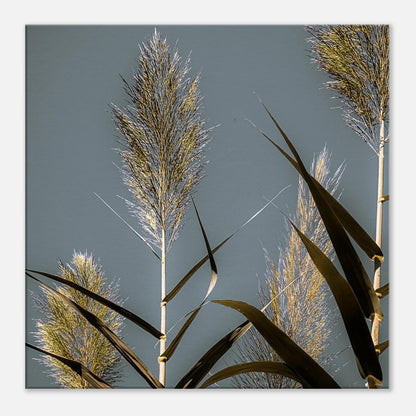 225d11f0-95f7-4abb-81f8-98ac6d1fbe31