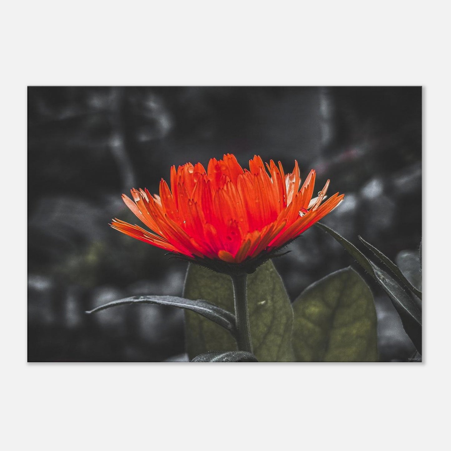 2263095e-6214-4e69-a7e4-3ec1d1f9842f