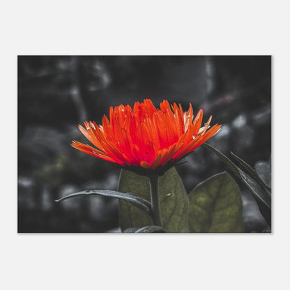 2263095e-6214-4e69-a7e4-3ec1d1f9842f