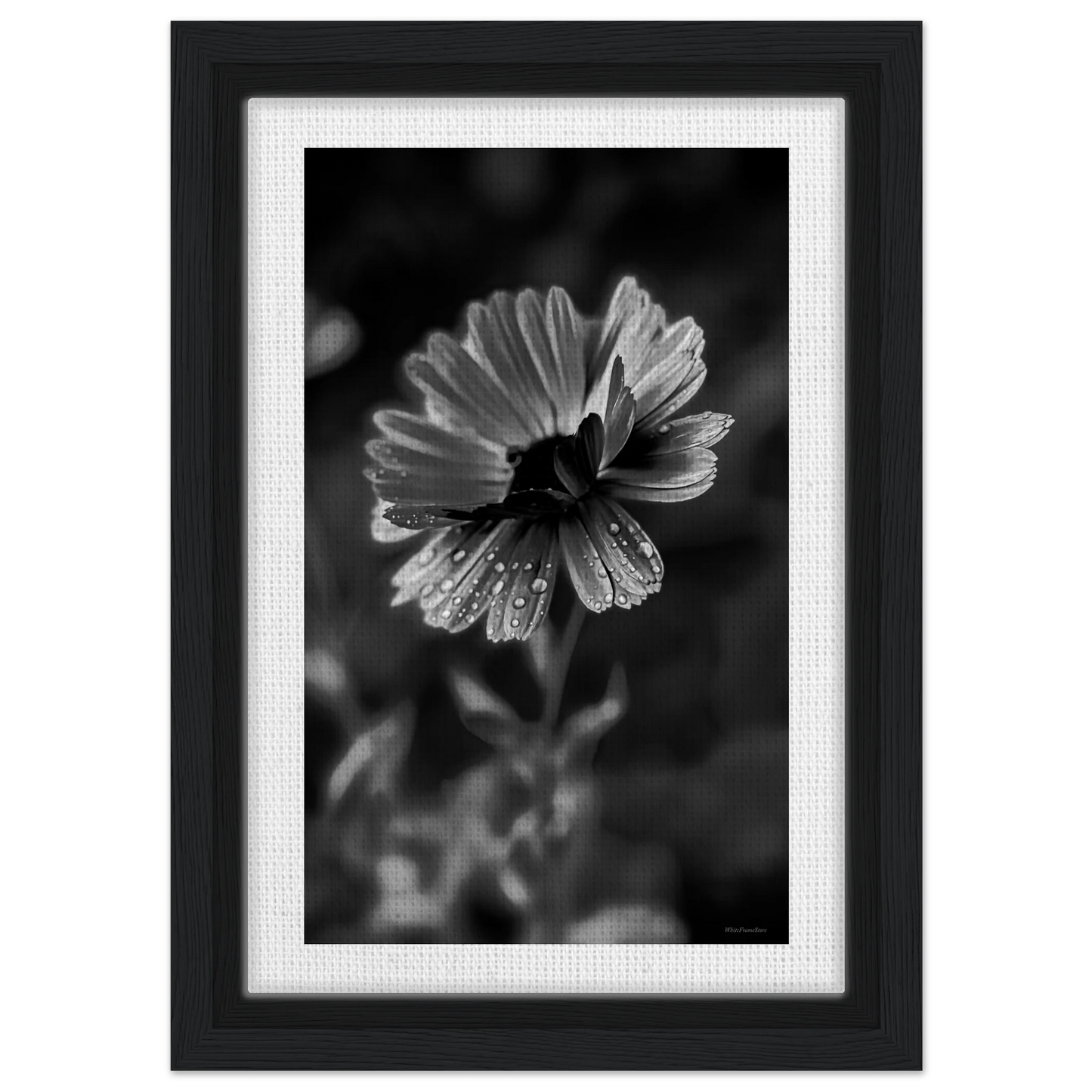 22bc1e15-d3b5-42b6-a93b-9fb01bba004a