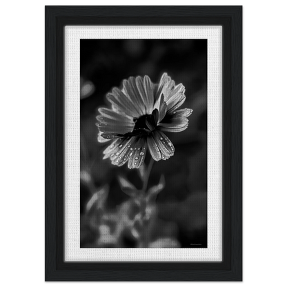 22bc1e15-d3b5-42b6-a93b-9fb01bba004a